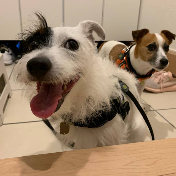 224029fb 9d2b 4d8b 8e11 723f607652fc 1566206555445