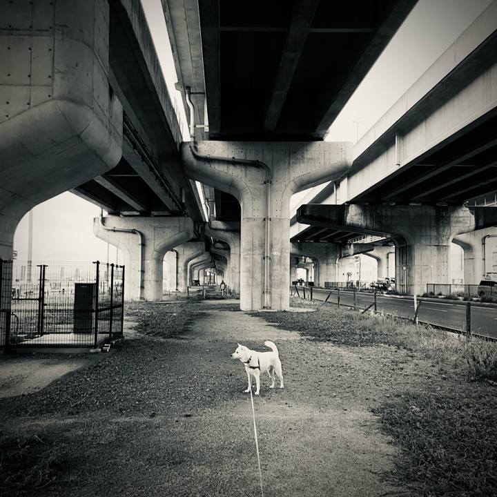 22405753 a647 4fa4 833d 77d3e50030b2 1712139479538