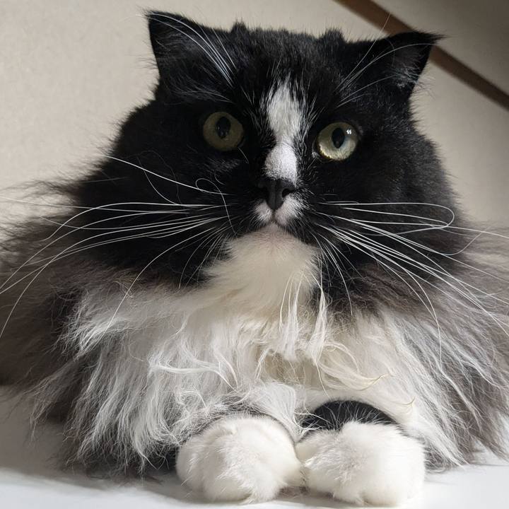 22406ee6 1400 440e 8bfa 63d5cff8f418 1725058336957