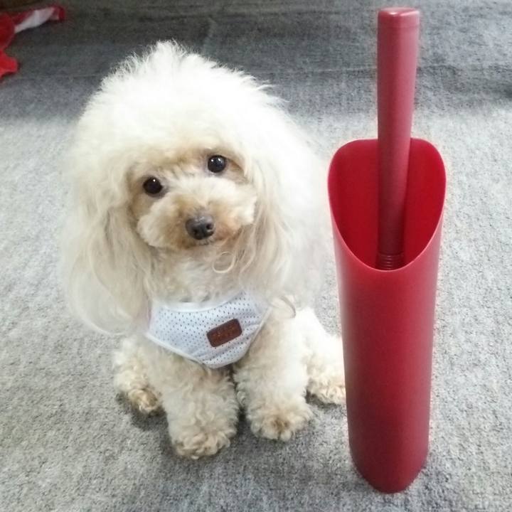 22407934 0733 4f7e 8010 95f4e099f8fe 1537000875448