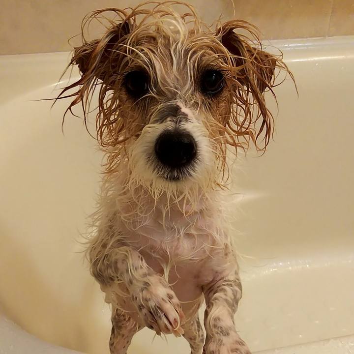 22408652 6aa8 42a2 8696 b3e2da84774d 1700400986118