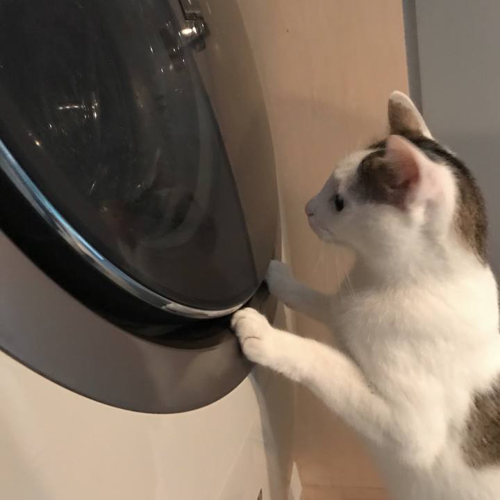 22409047 22f2 46c3 b8e1 c0698f7a5ba5 1511077512269