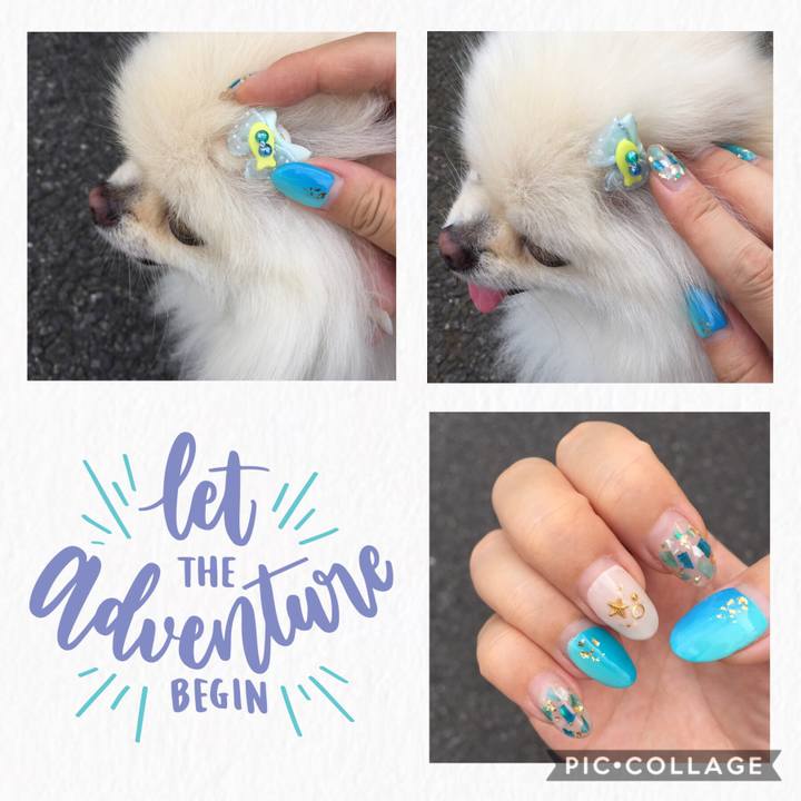 2240a315 52cf 4bf3 aea4 75e6d8862bf5 1567218801486