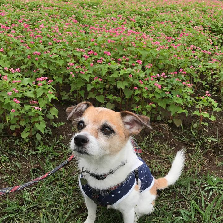 2240a561 9323 4c34 980b 12ca67302368 1602390003244