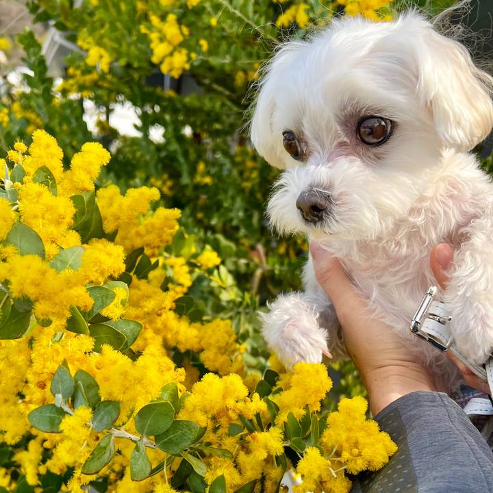 2240b767 98c2 4a50 a04f 6b52bdfb23e4 1678248161106