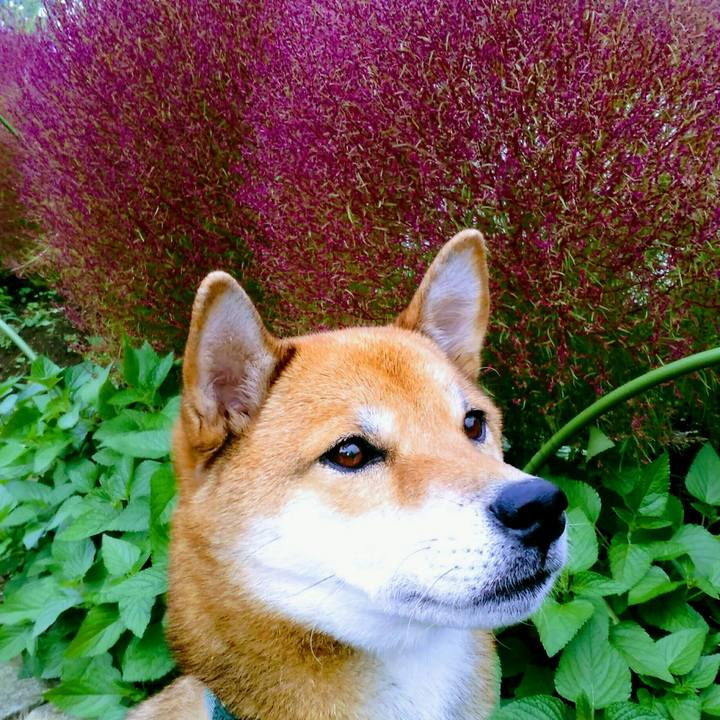 2240d637 6567 4d42 b266 11a4ce66ac75 1508314819122