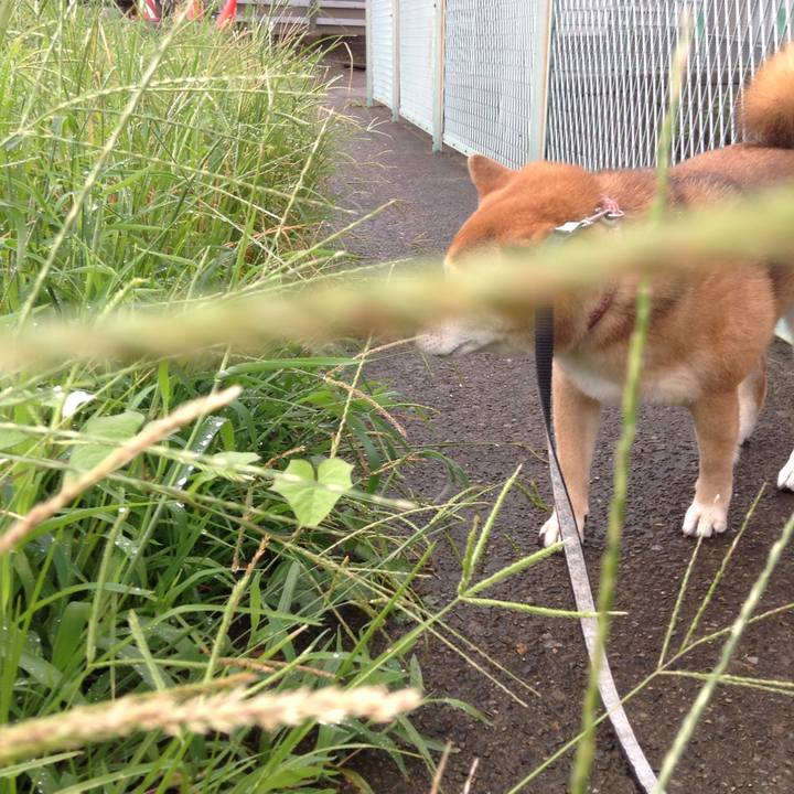 22410db8 51ba 4536 8260 a04a6f865179 1535939446383