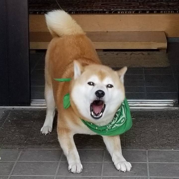 224132c7 f965 4b36 89b0 e9b9a10cbbb5 1558512258618