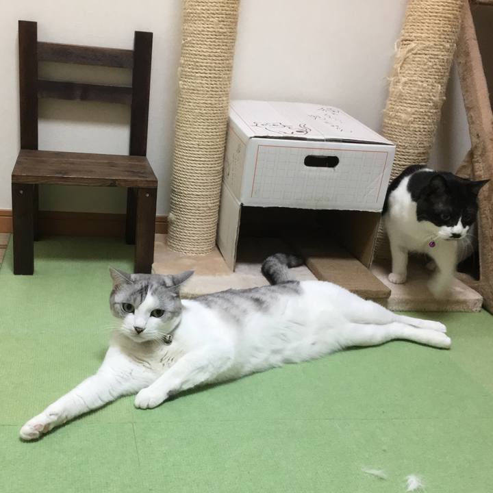 22415b10 25f9 4d42 a01c fa33a2f5fb77 1564204971331