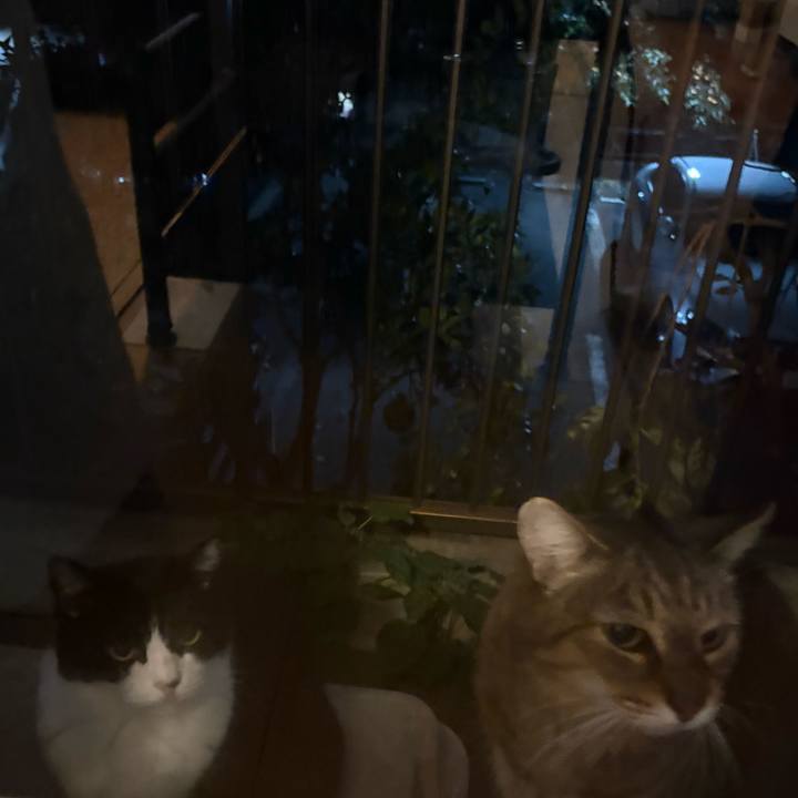 2241743a bb13 420e b30d c2d6ced6ea3c 1763301995758