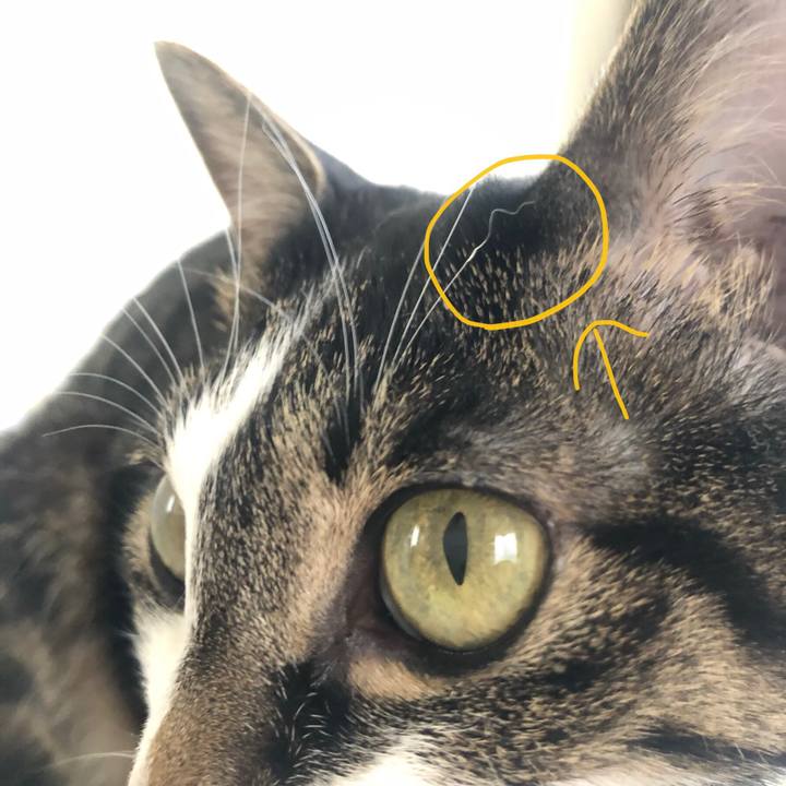 2241a5c3 2a73 4364 95ff ab8f079728e2 1596891515763