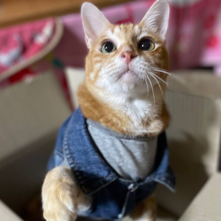 2241ae16 62d5 472a b7eb ff5c3f1ffc2a 1644417986556