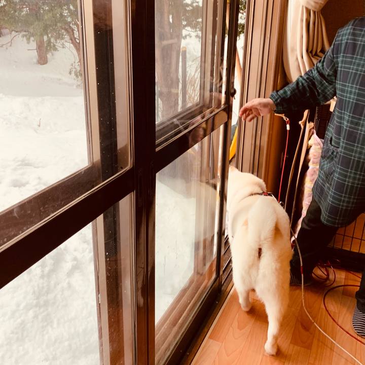 2241ae36 c356 46b0 b441 9fa6dbf0a488 1612848823789