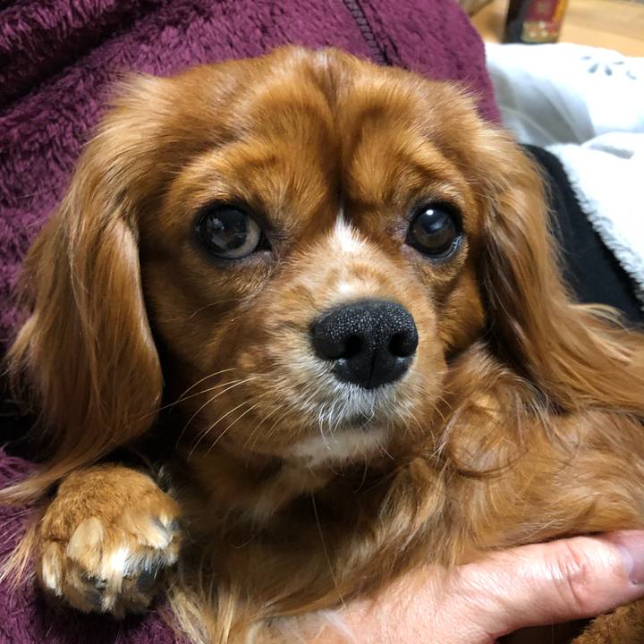 2241ba63 18db 486a bfcc d48823af644f 1548368752280