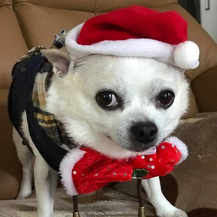 2241e05b d253 4b2b 8e9d 9c7f9e7207b6 1577254314522