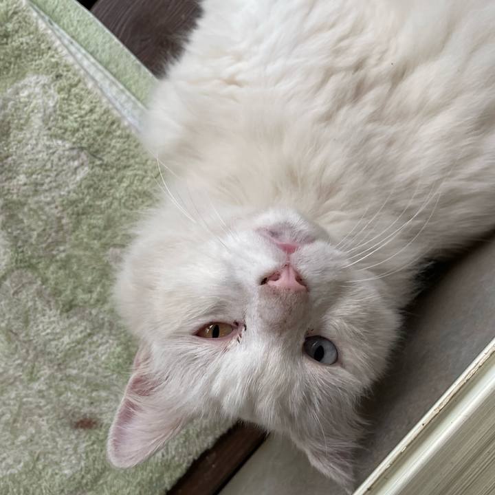 2241e7cf ce4b 44ca b953 e4959f6327d5 1723619759853