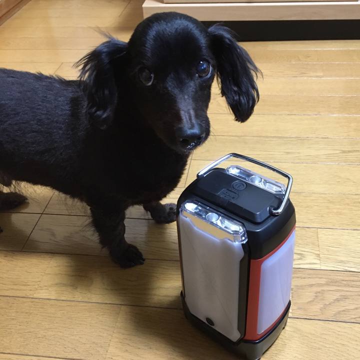 2241f6be db48 4166 a547 29a484ebed2f 1538293214634