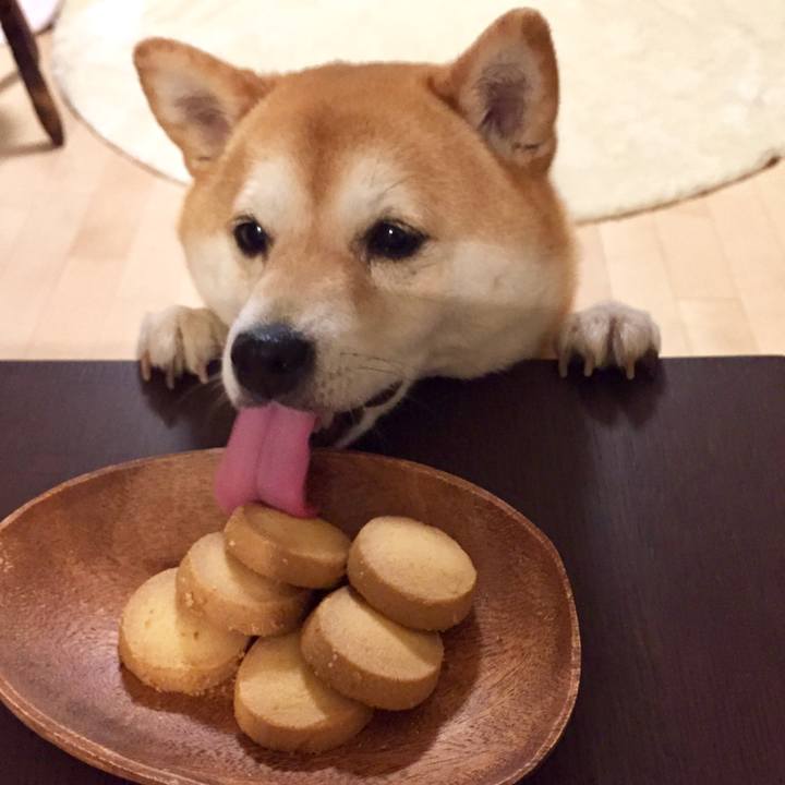 2241f923 b352 41a5 a0a1 5166af778956 1561379890242