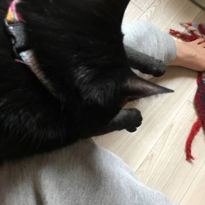 2241fd78 0957 4fb6 959a b273c6de28ef 1519447333825