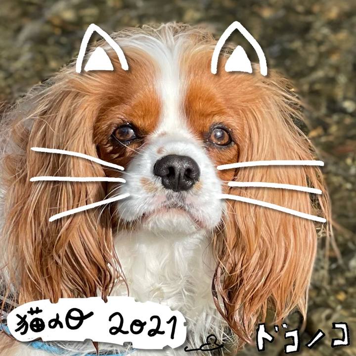 2242424f fae2 444f bc77 01f325dadf7c 1613960983335