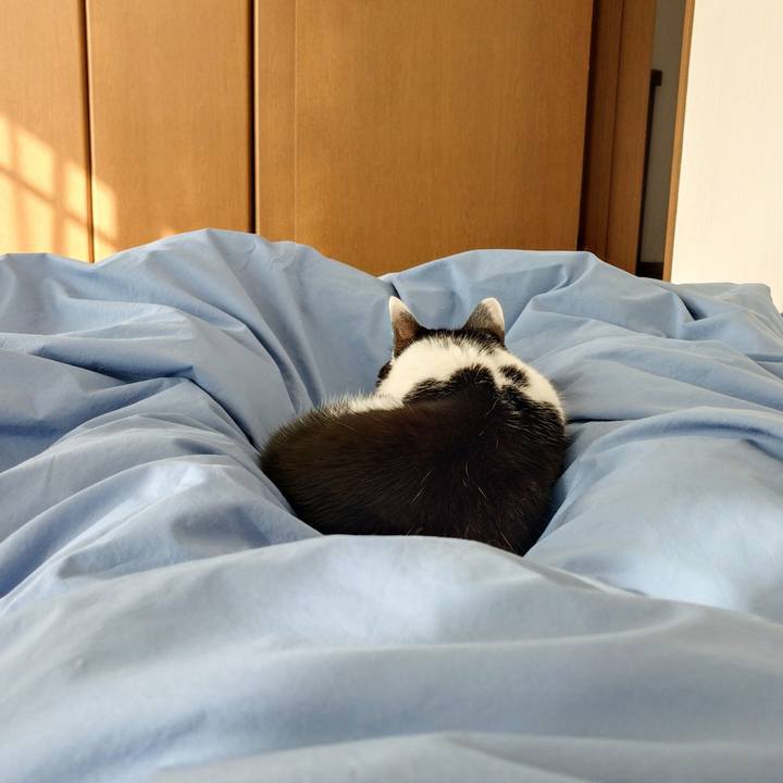 2242513c db74 43e1 a64f 3f4a100a87de 1764644459157