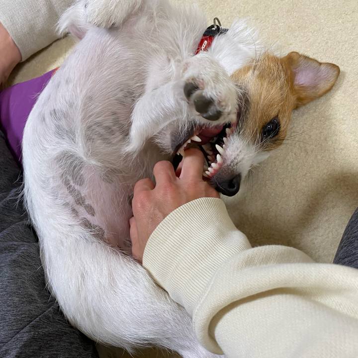 22426d00 72fd 4a91 a9c4 7dc23a0c17cc 1636549557833