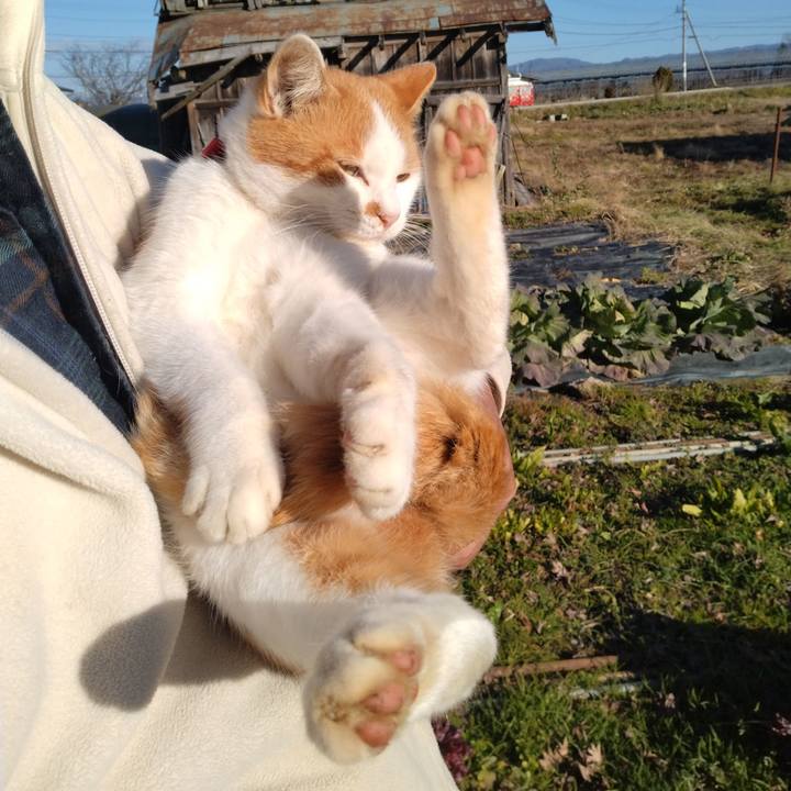 22427004 fdbc 4585 9a45 e530c211fee1 1764392979381