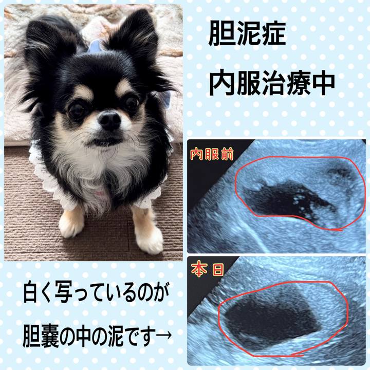 22427669 e29a 4192 8a94 1bae6464581a 1669703027857