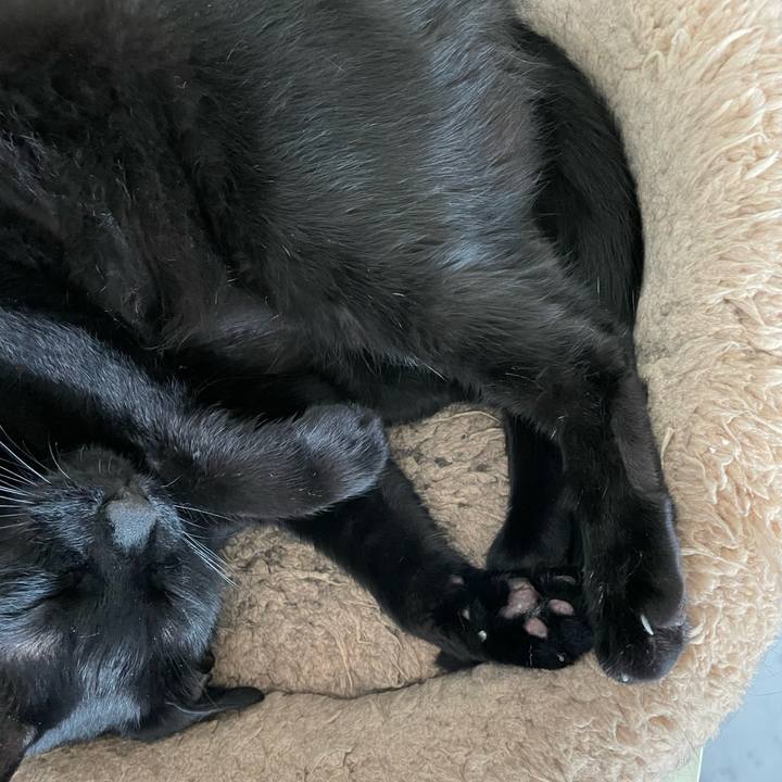 22428950 bf07 4aee 96ae be5ca8bc1dc6 1661781037962