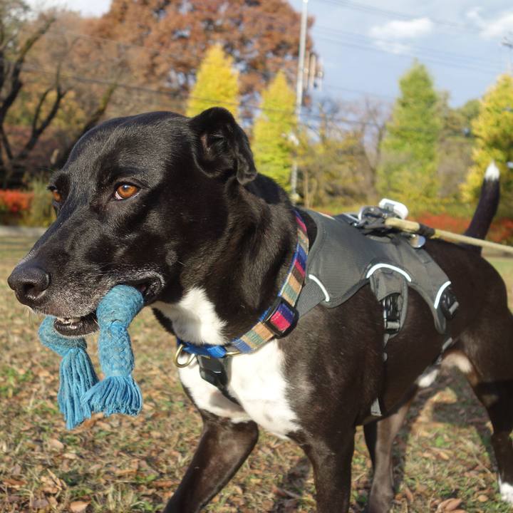 2242b775 50c8 4e82 9e62 cc04035f7b0c 1637628697294