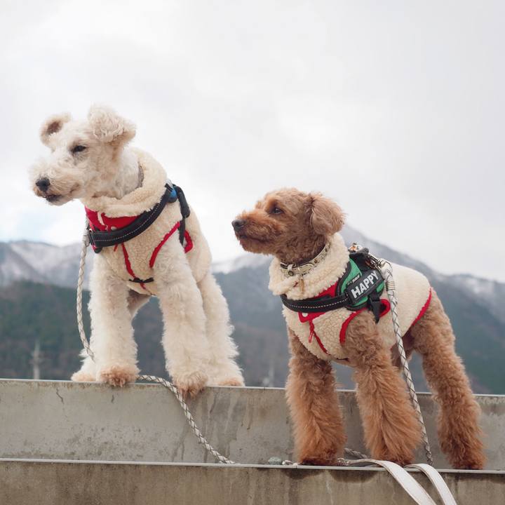 2242cd34 dcce 4420 9bc3 f5b042b077c5 1578269408533