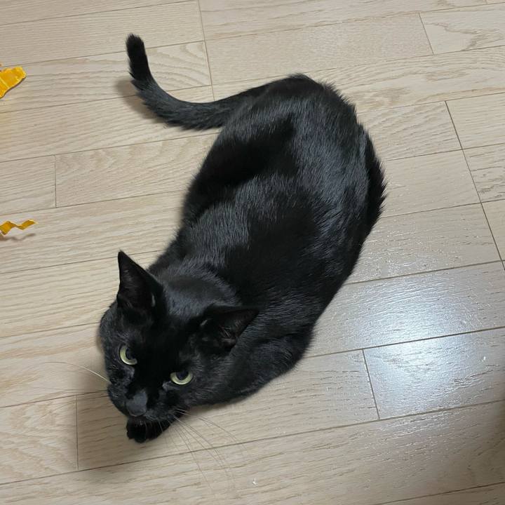 2242fb94 d31e 4d41 8a78 f12ede9e1529 1700400015487