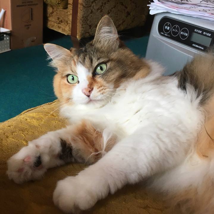 2243183a b3f7 453a b34a edd9feb45124 1594623197422