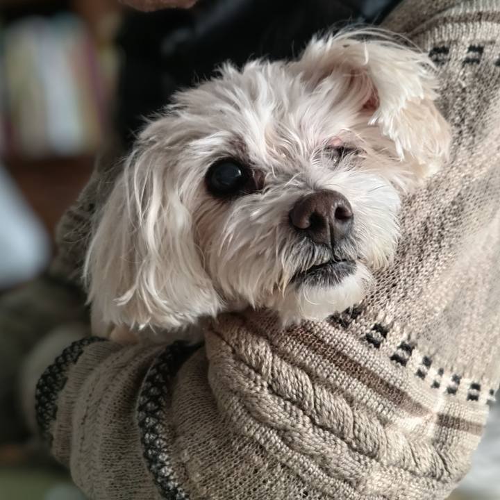 22433e6e 1943 4721 87ef 5596f2d1ce21 1732482070665