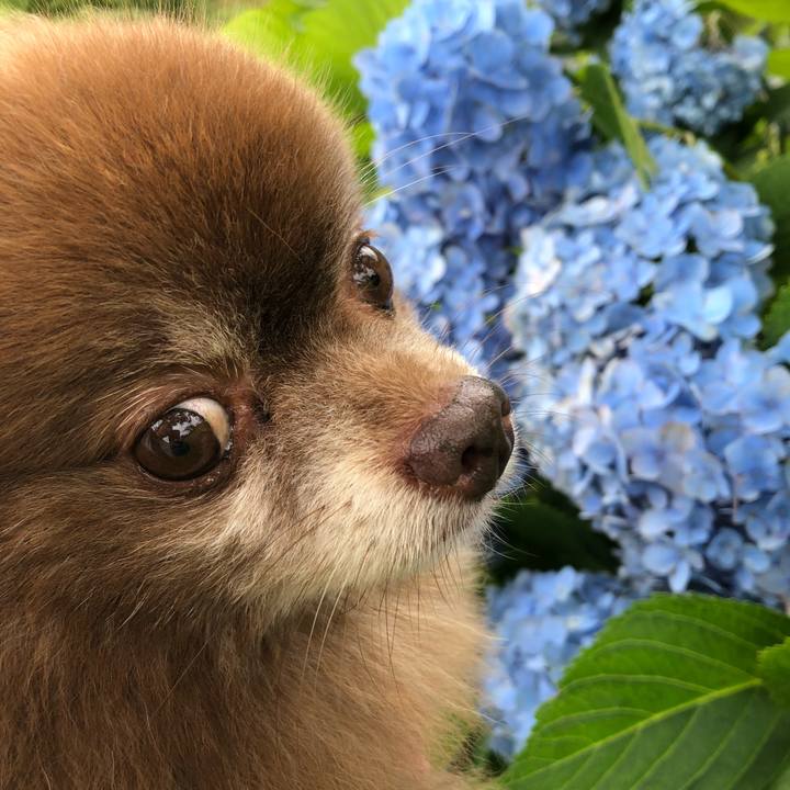 22434ae8 d65c 4568 8bd5 32dc39fc4116 1596769861177