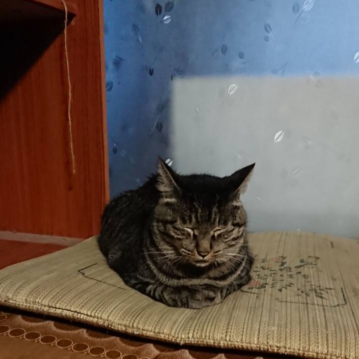 22437c33 c117 484f bb00 eb3ed705807a 1661806769836