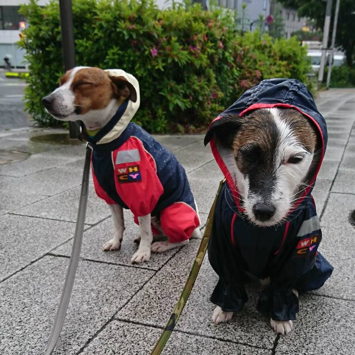 2243a1ef e11a 453b 961c e61314782099 1558386586705