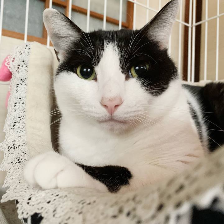 2243a8d0 3503 4069 9289 4b6470442b7a 1545441682833