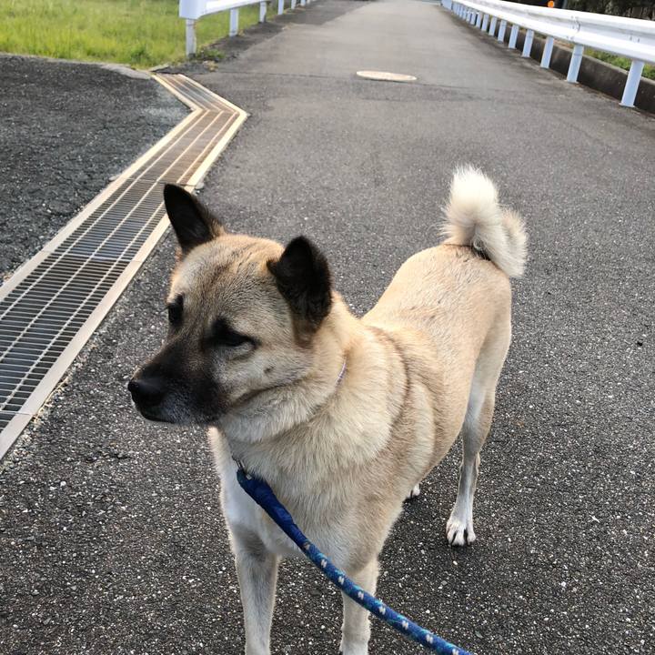 2243d637 66b0 464a ba4b 8d600b1a7744 1603974146190