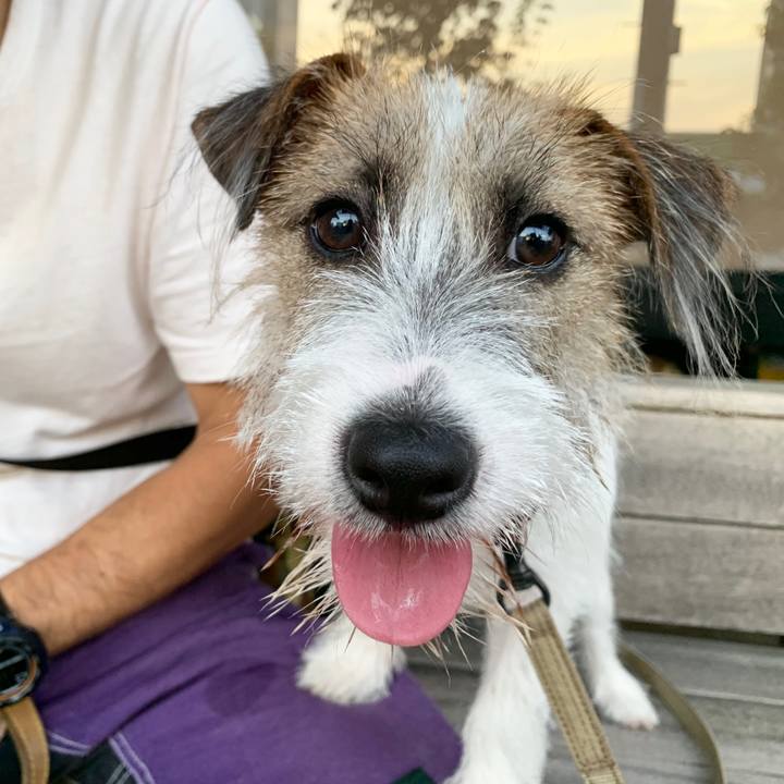 224428e8 3403 4653 947b 727834dfe19d 1567345991646