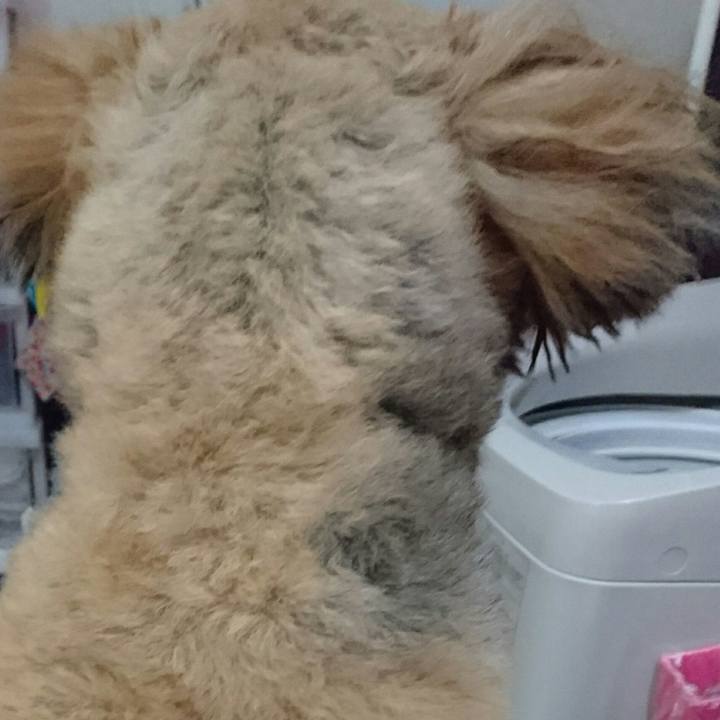 224484ea 8c2e 46c6 b753 e965ef66f1ea 1517132807438