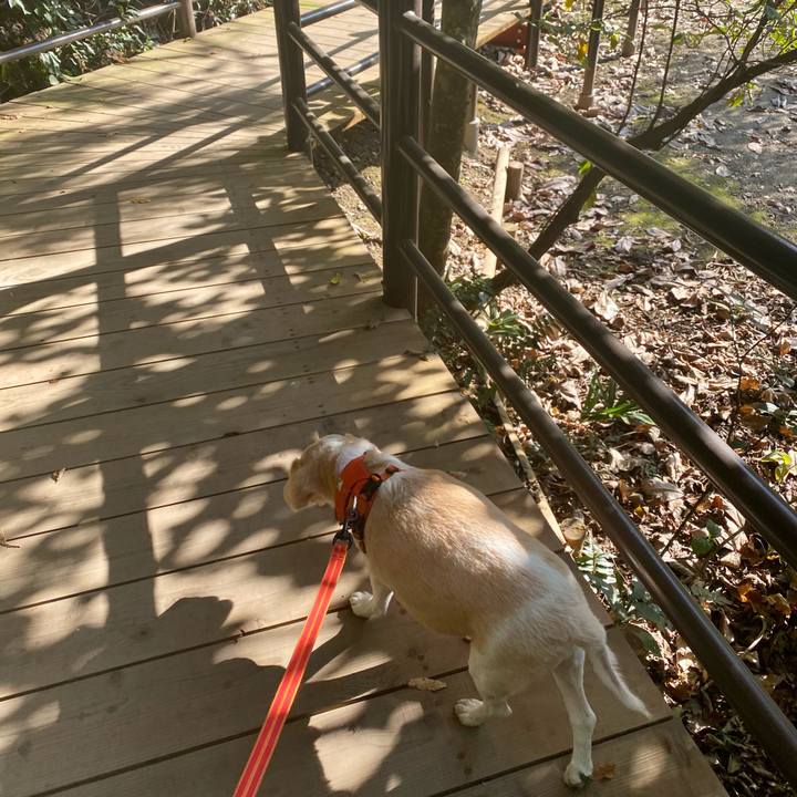 2244a625 2613 4672 8e77 0f39960ae31a 1605507698044