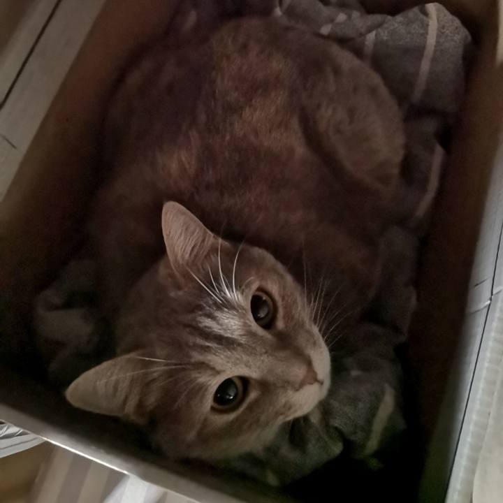 2244c9a0 0e19 4af8 a88b 07ba6a2a5520 1593662733168