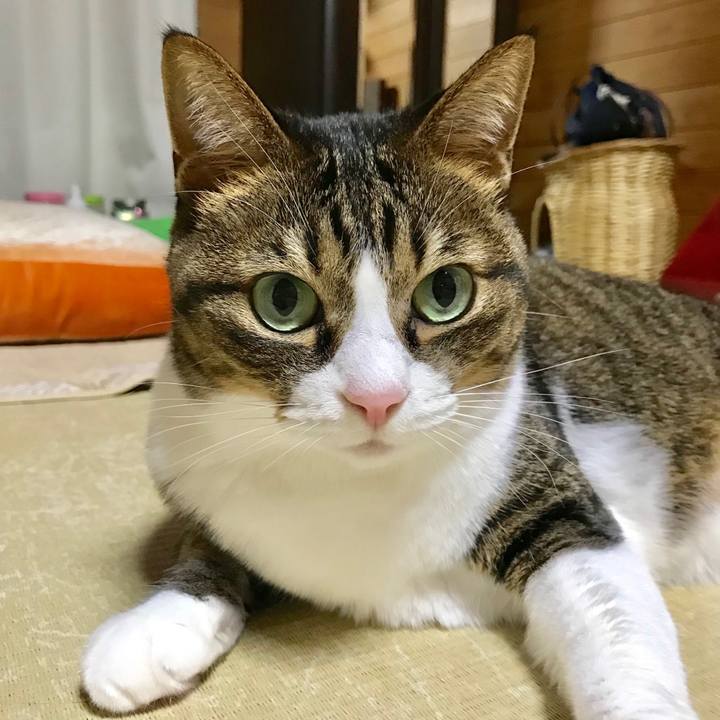 2244e198 b6e1 408c b8d4 1e193b39cf0e 1543066506554