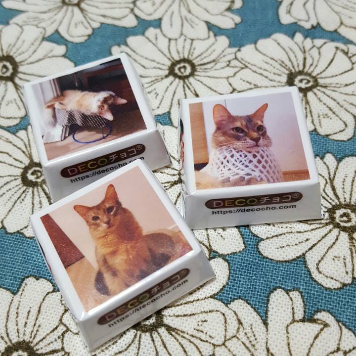 22451a5e 1b92 40da a7c8 6a98729347d6 1564754018973