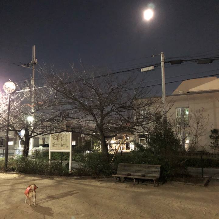 22453b6e cf31 4dad b56f 49ec9c9b6cae 1581386566477