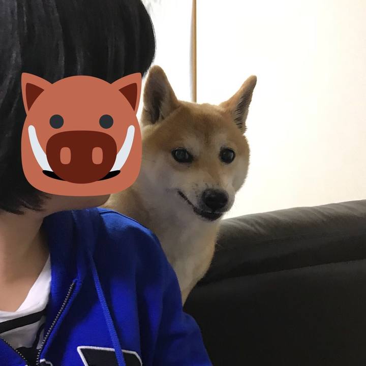 22454133 d60e 40ad 8734 8e95776135e3 1516800590876