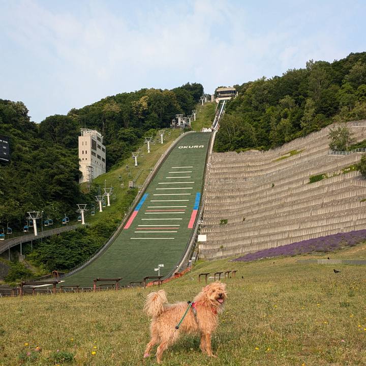 22459453 865a 4718 975c 2a367af277c3 1720994072552