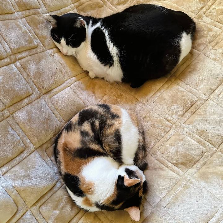 2245b8ce a1e6 4eee bb3f 902c7f3fef56 1668301847604