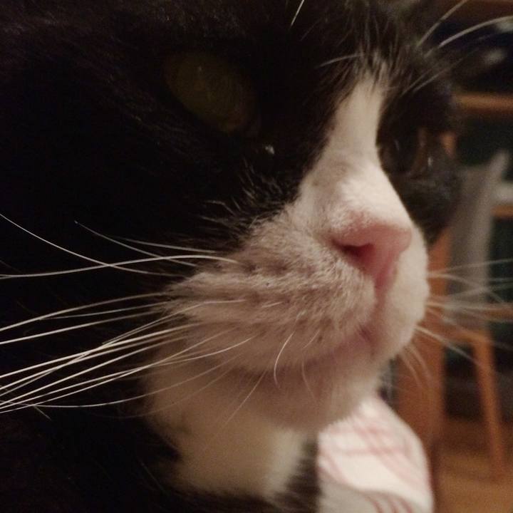 2245c312 4544 4b22 9c51 924a529ac365 1599309943242